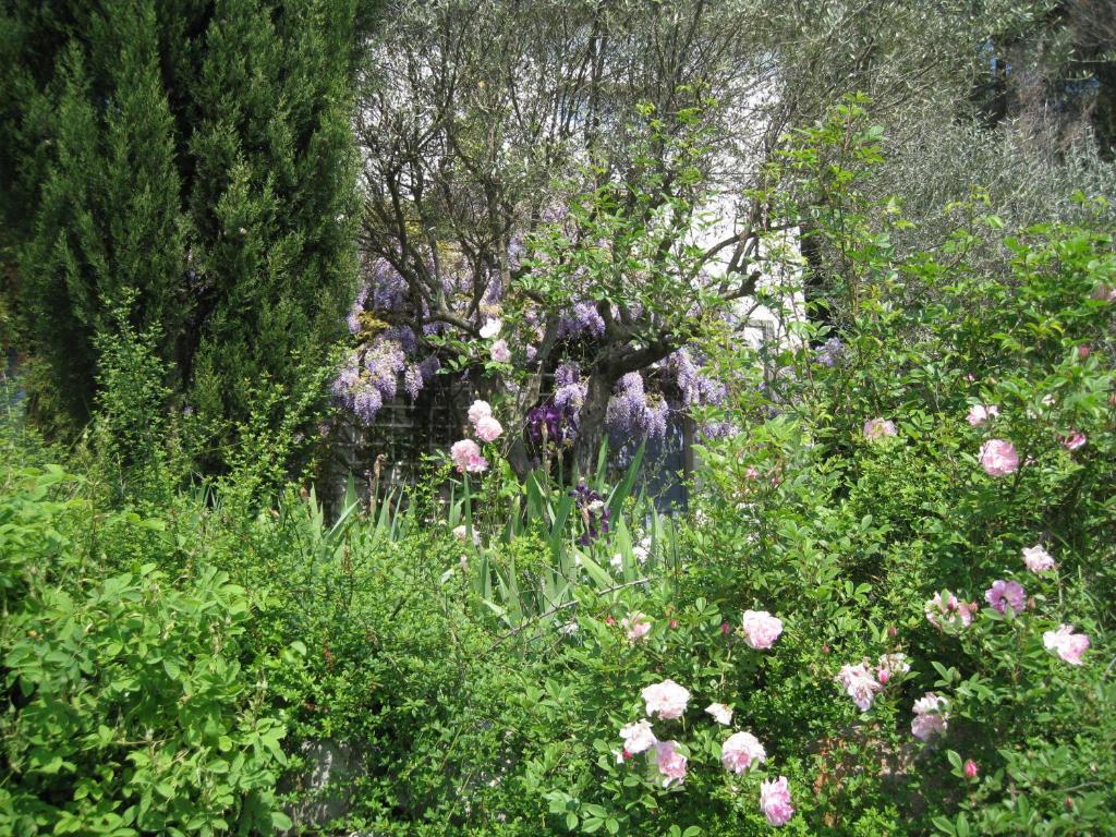 La Colombiere Bed & Breakfast Grasse Room photo