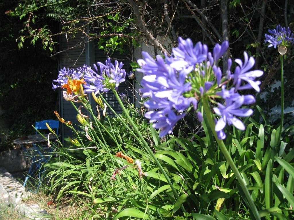 La Colombiere Bed & Breakfast Grasse Exterior photo